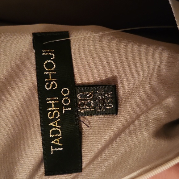 Tadashi Nude Lace Dress - Picture 5 of 5